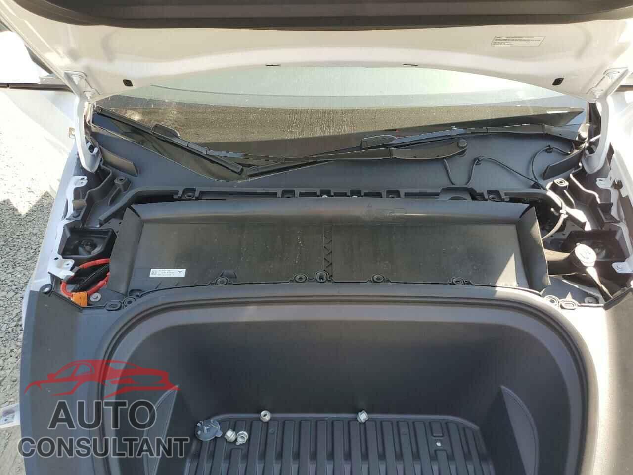 TESLA MODEL Y 2024 - 7SAYGDEE0RF044656