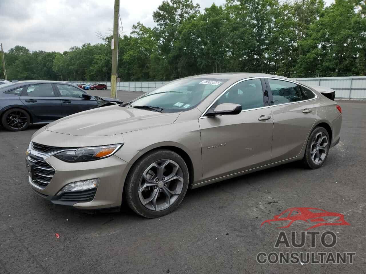 CHEVROLET MALIBU 2024 - 1G1ZD5ST3RF228612