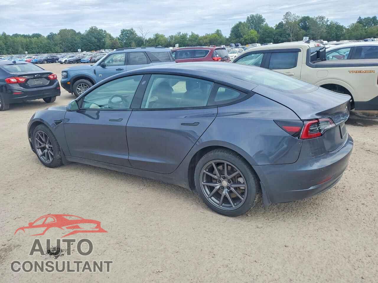 TESLA MODEL 3 2021 - 5YJ3E1EB8MF019434