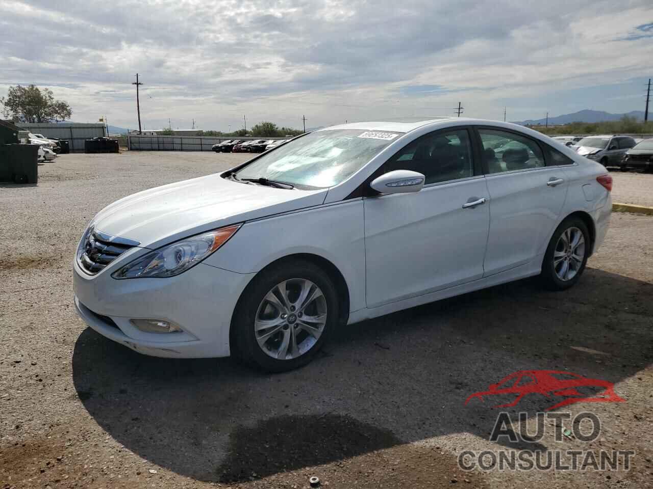 HYUNDAI SONATA 2013 - 5NPEC4AC2DH675919