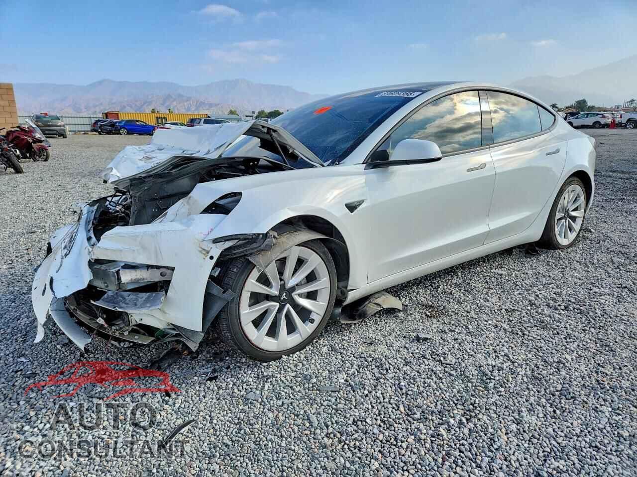 TESLA MODEL 3 2021 - 5YJ3E1EA1MF927599