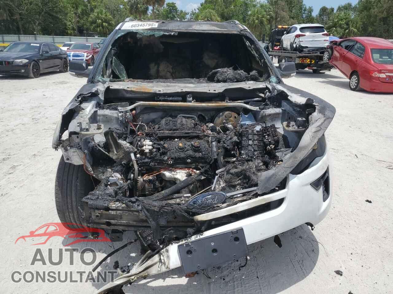 FORD EXPLORER 2019 - 1FM5K7D83KGB47346