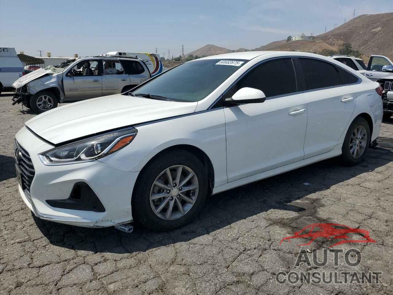 HYUNDAI SONATA 2019 - 5NPE24AFXKH765572