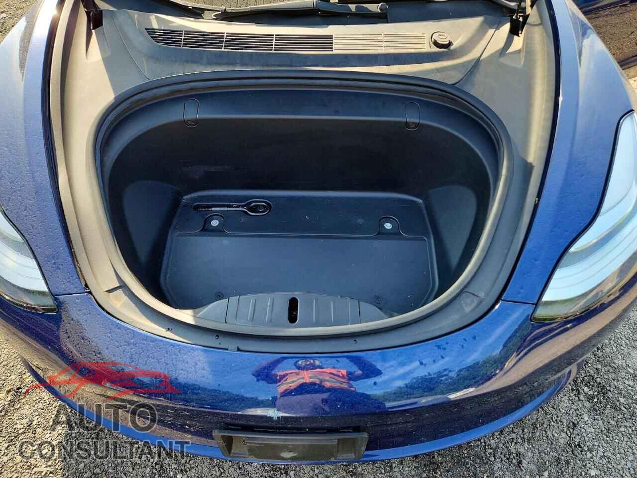 TESLA MODEL 3 2019 - 5YJ3E1EA3KF396774