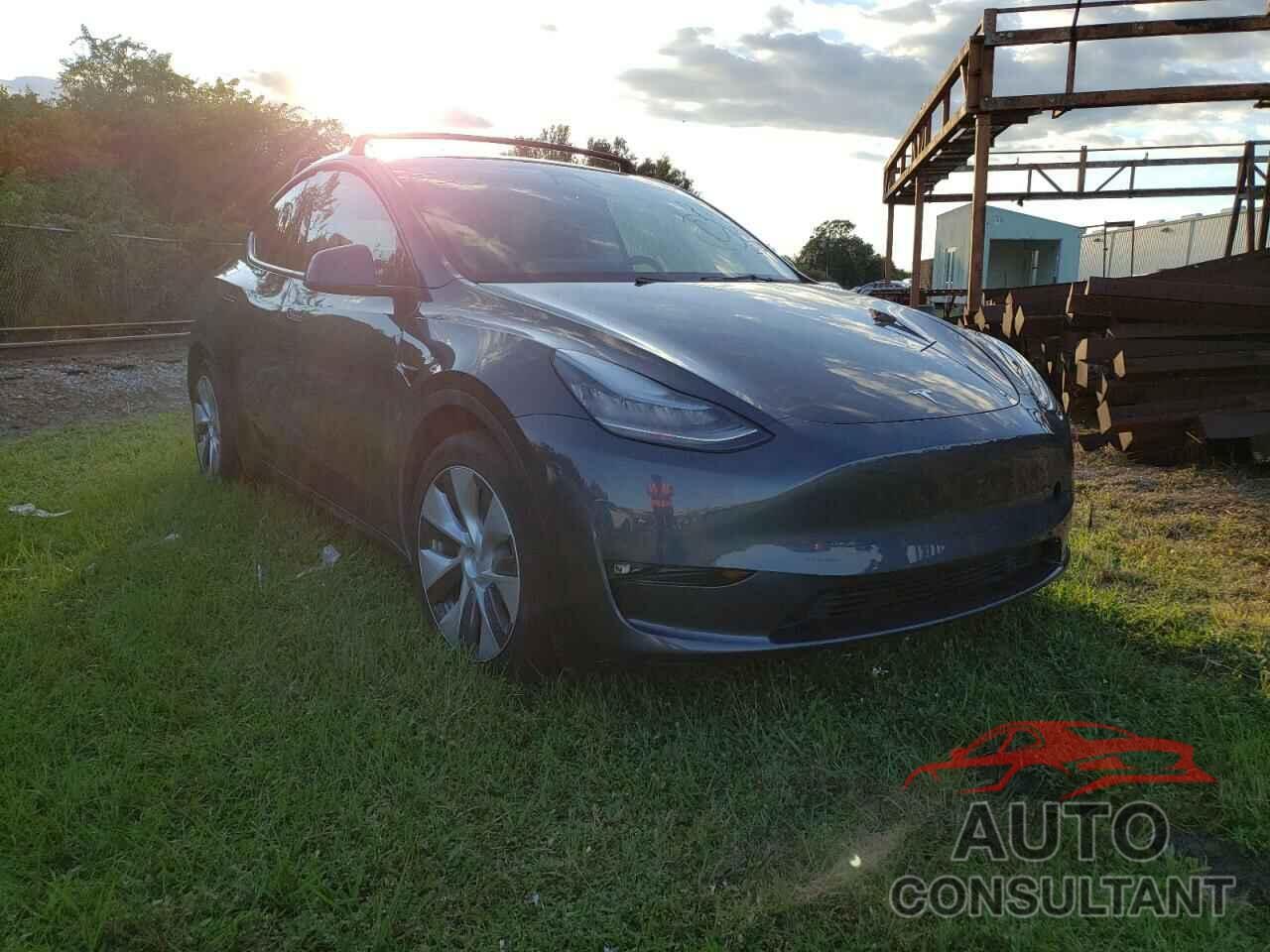 TESLA MODEL Y 2021 - 5YJYGDEE5MF174762