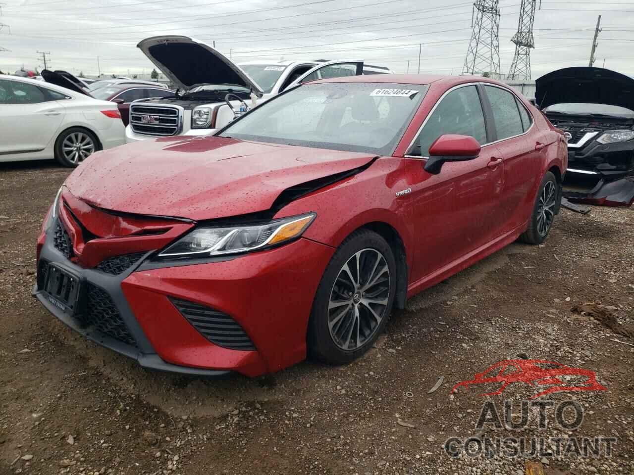 TOYOTA CAMRY 2019 - 4T1B21HK0KU011599