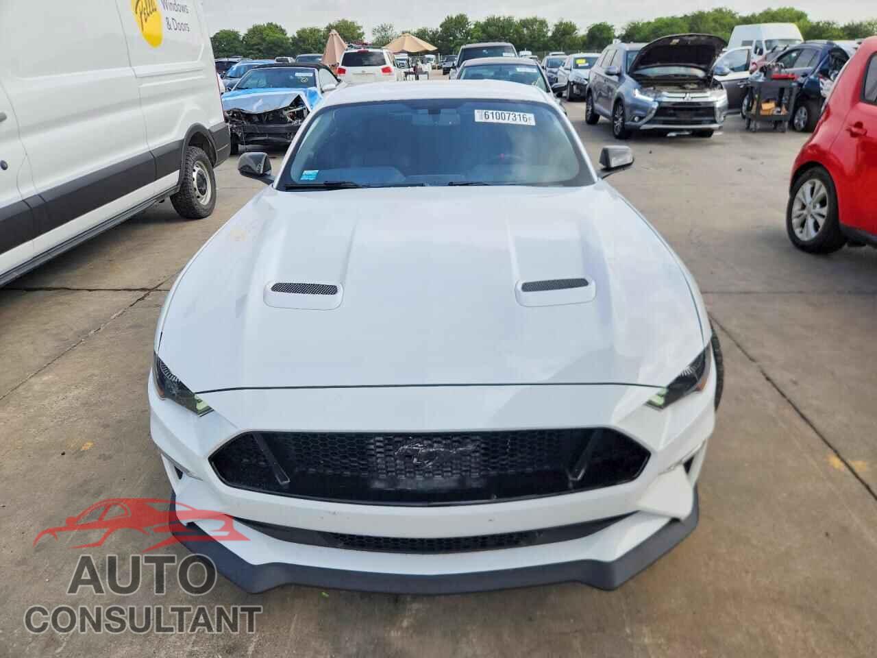 FORD MUSTANG 2019 - 1FA6P8CF4K5168904
