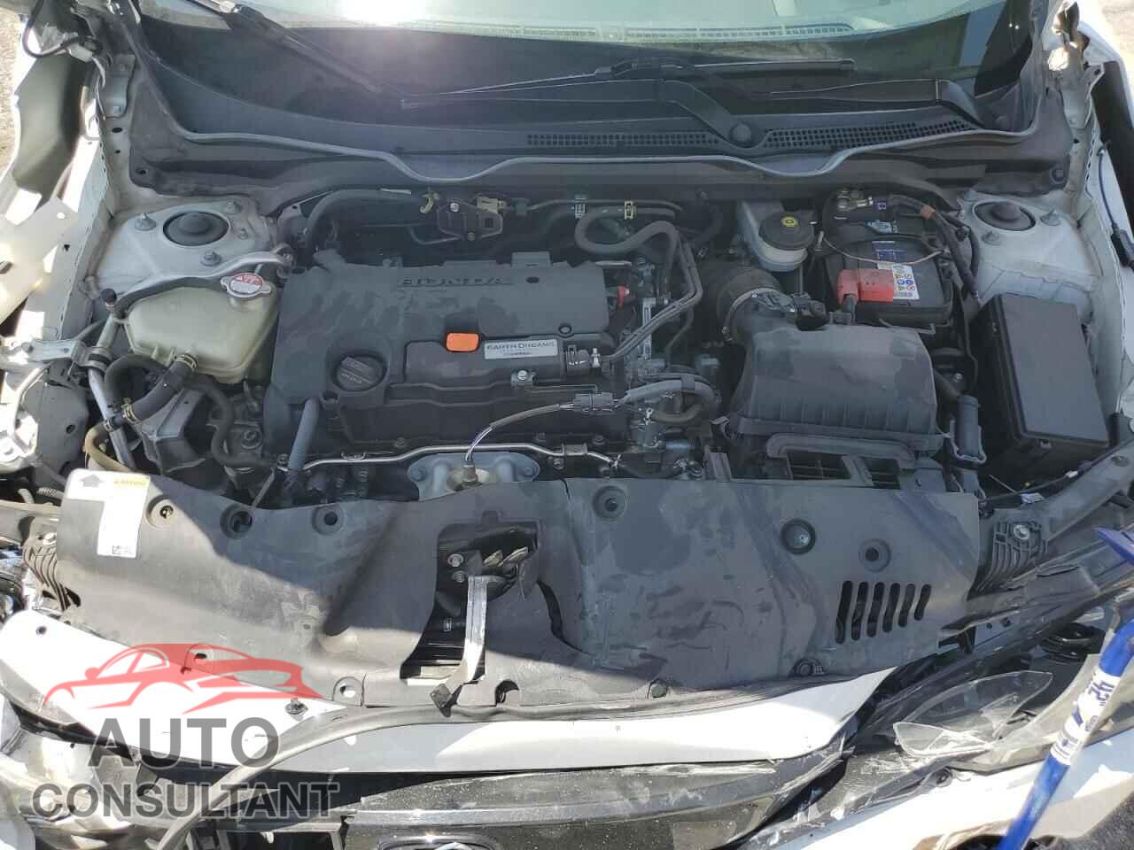 HONDA CIVIC 2019 - 2HGFC4B87KH304986
