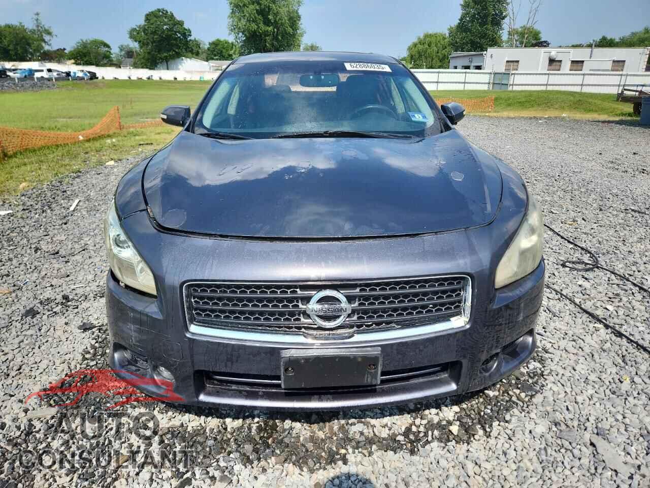 NISSAN MAXIMA 2011 - 1N4AA5AP5BC844603