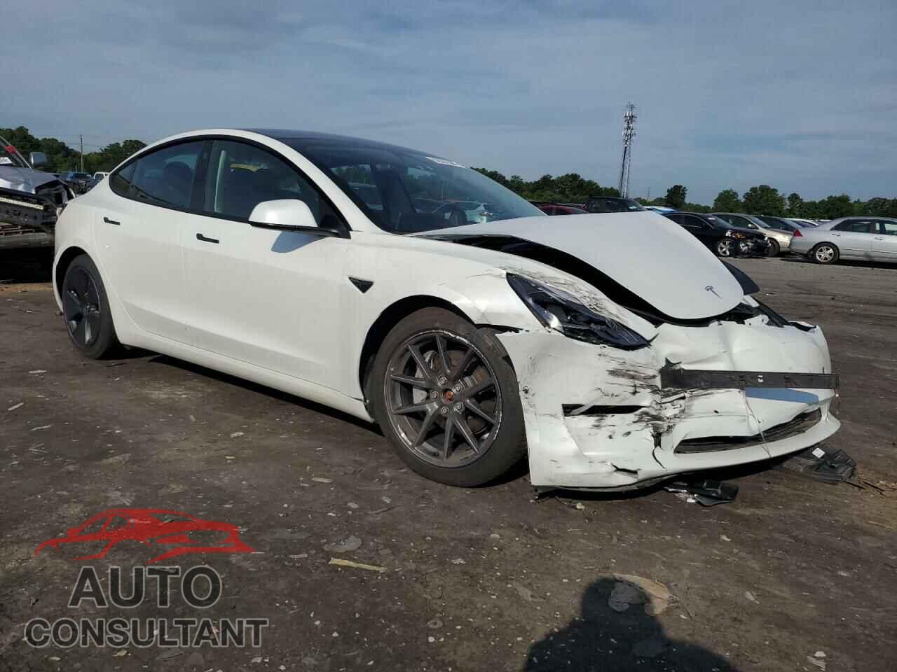 TESLA MODEL 3 2021 - 5YJ3E1EBXMF979399