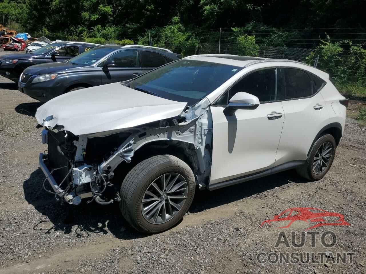 LEXUS NX 350H 2022 - 2T2AKCEZ6NC007115