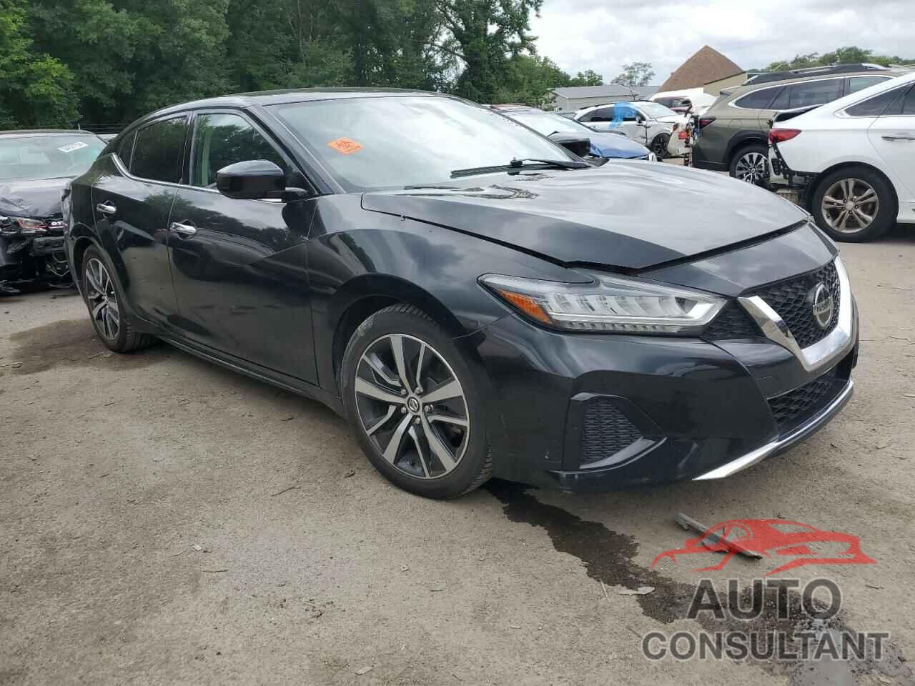 NISSAN MAXIMA 2019 - 1N4AA6AV3KC379499