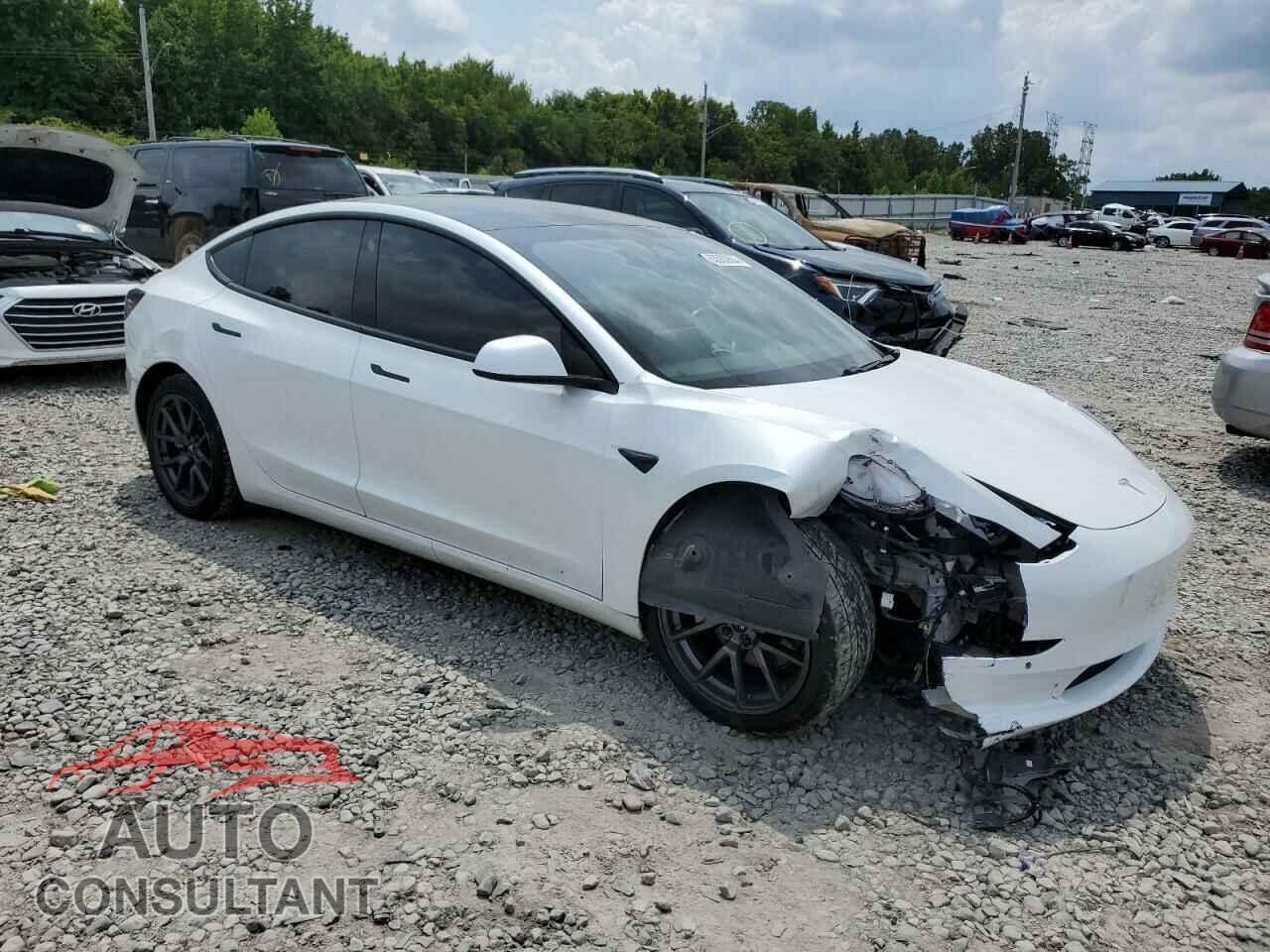 TESLA MODEL 3 2021 - 5YJ3E1EA7MF029086