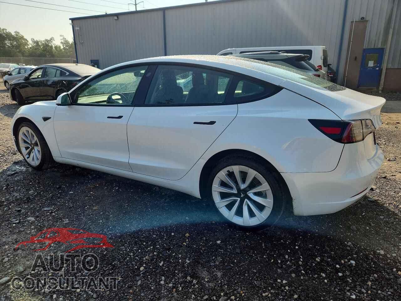 TESLA MODEL 3 2023 - 5YJ3E1EA3PF435290