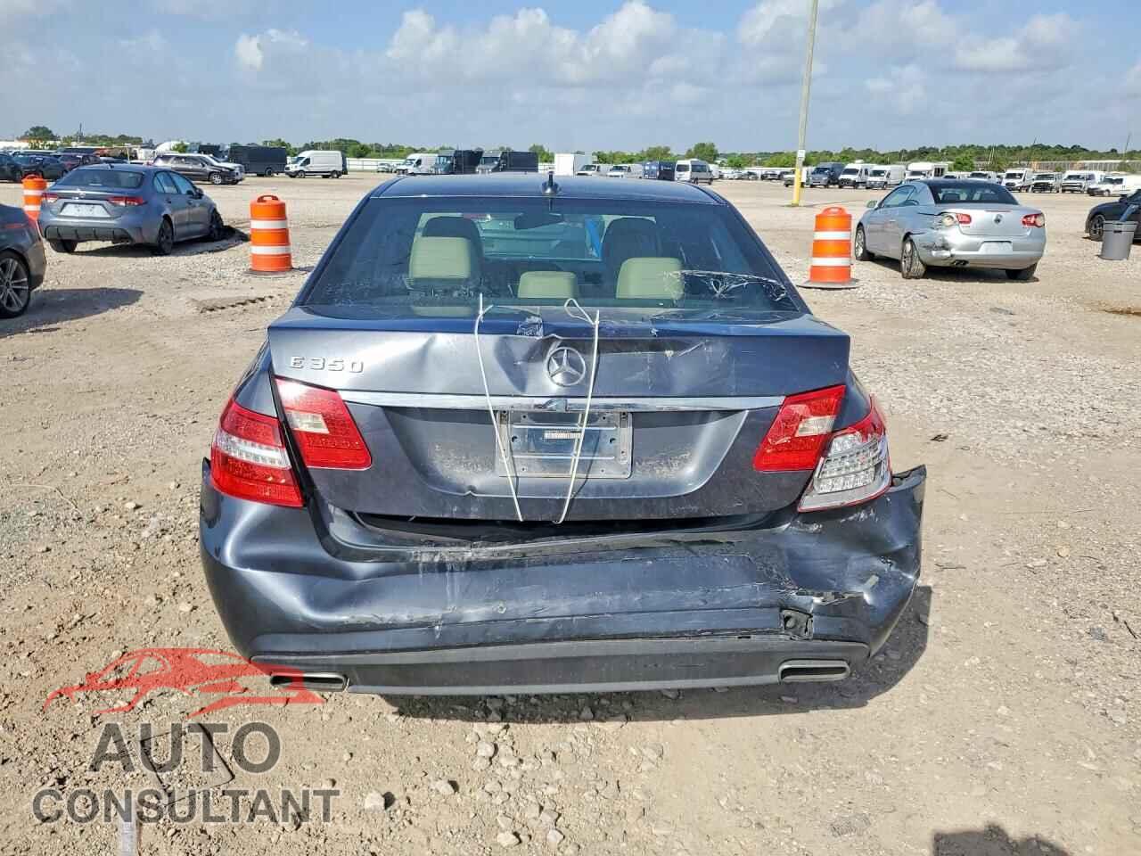 MERCEDES-BENZ E-CLASS 2010 - WDDHF5GB9AA097593