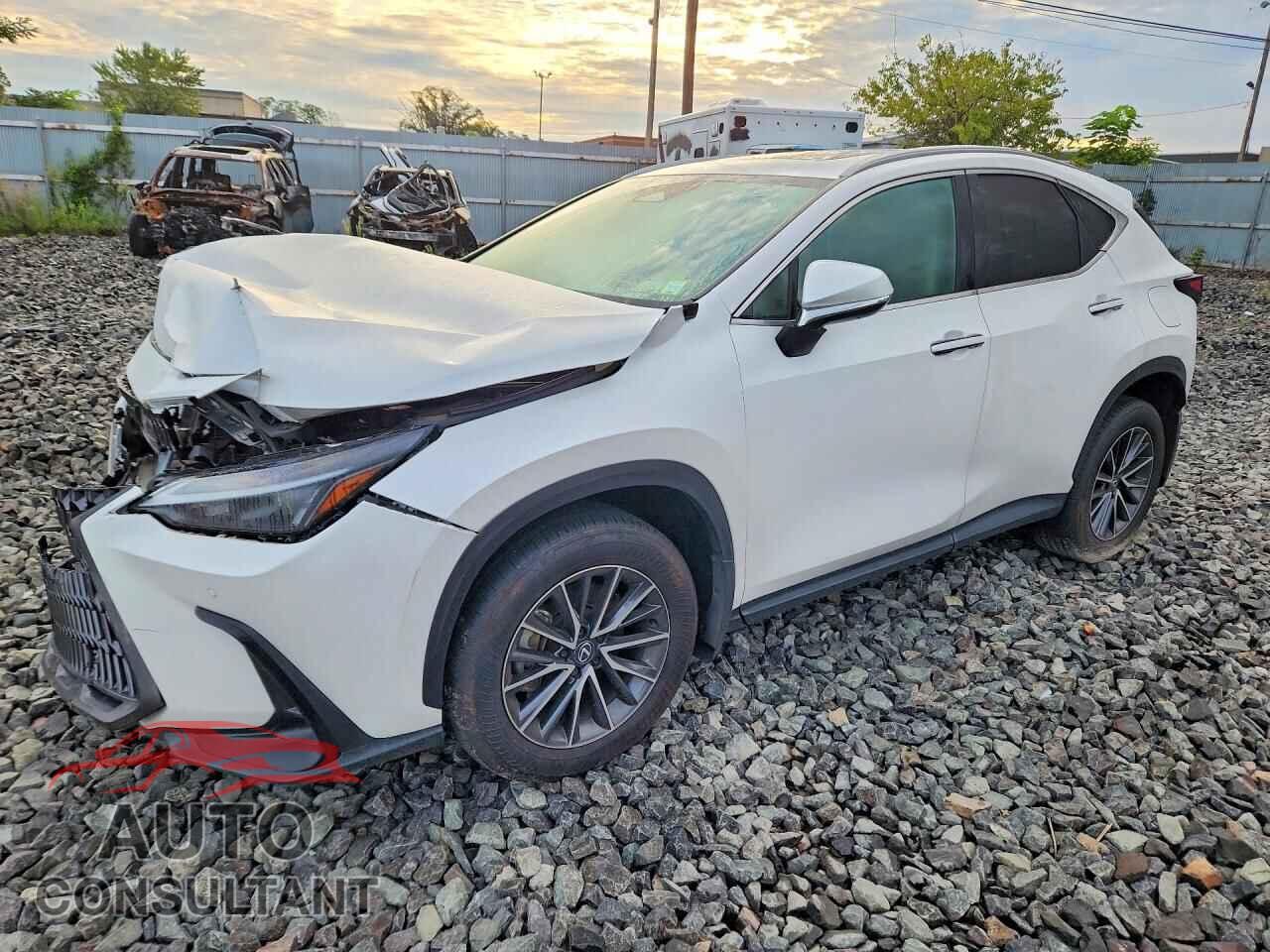 LEXUS NX 2025 - 2T2ADCEZ9SC005509