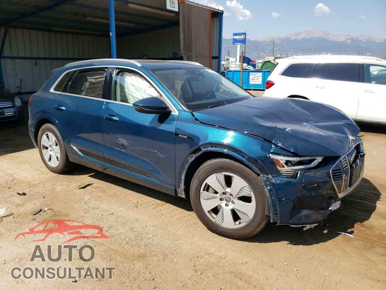 AUDI E-TRON 2019 - WA1VAAGEXKB012037