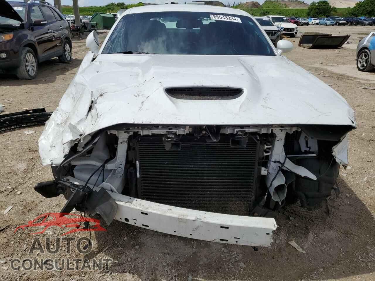 DODGE CHALLENGER 2019 - 2C3CDZBT5KH531825