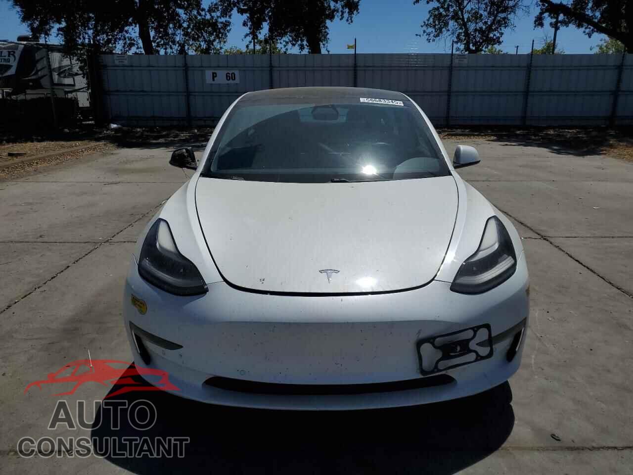TESLA MODEL 3 2021 - 5YJ3E1EA5MF079372