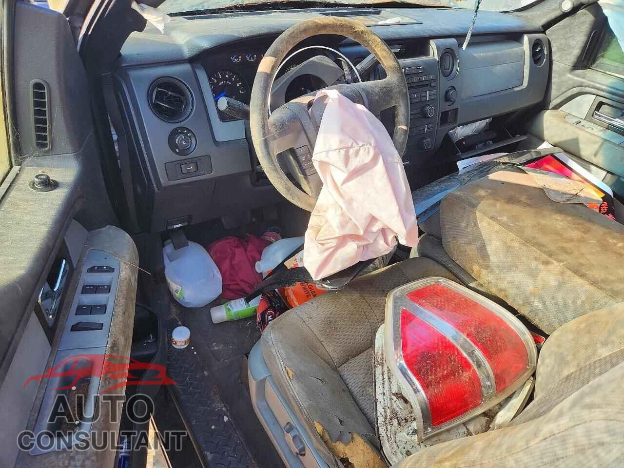 FORD F150 2013 - 1FTFX1EF9DFB27745