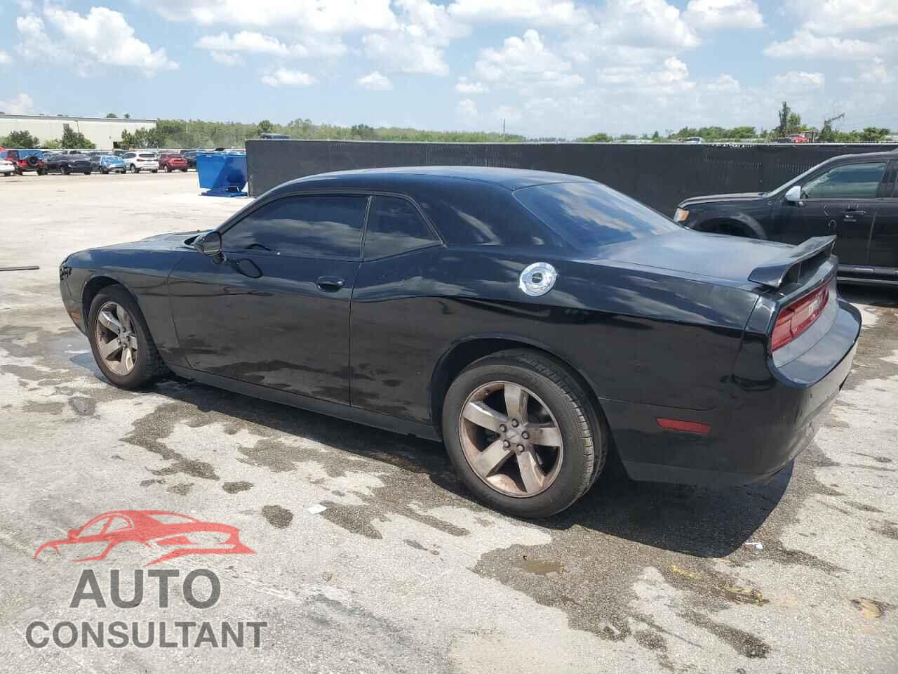 DODGE CHALLENGER 2013 - 2C3CDYAG3DH501580