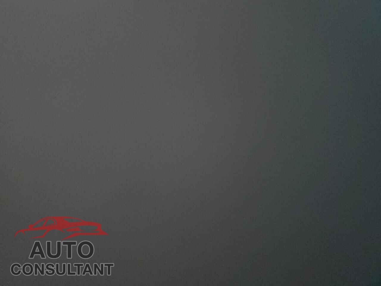 TESLA MODEL 3 2019 - 5YJ3E1EA9KF410631