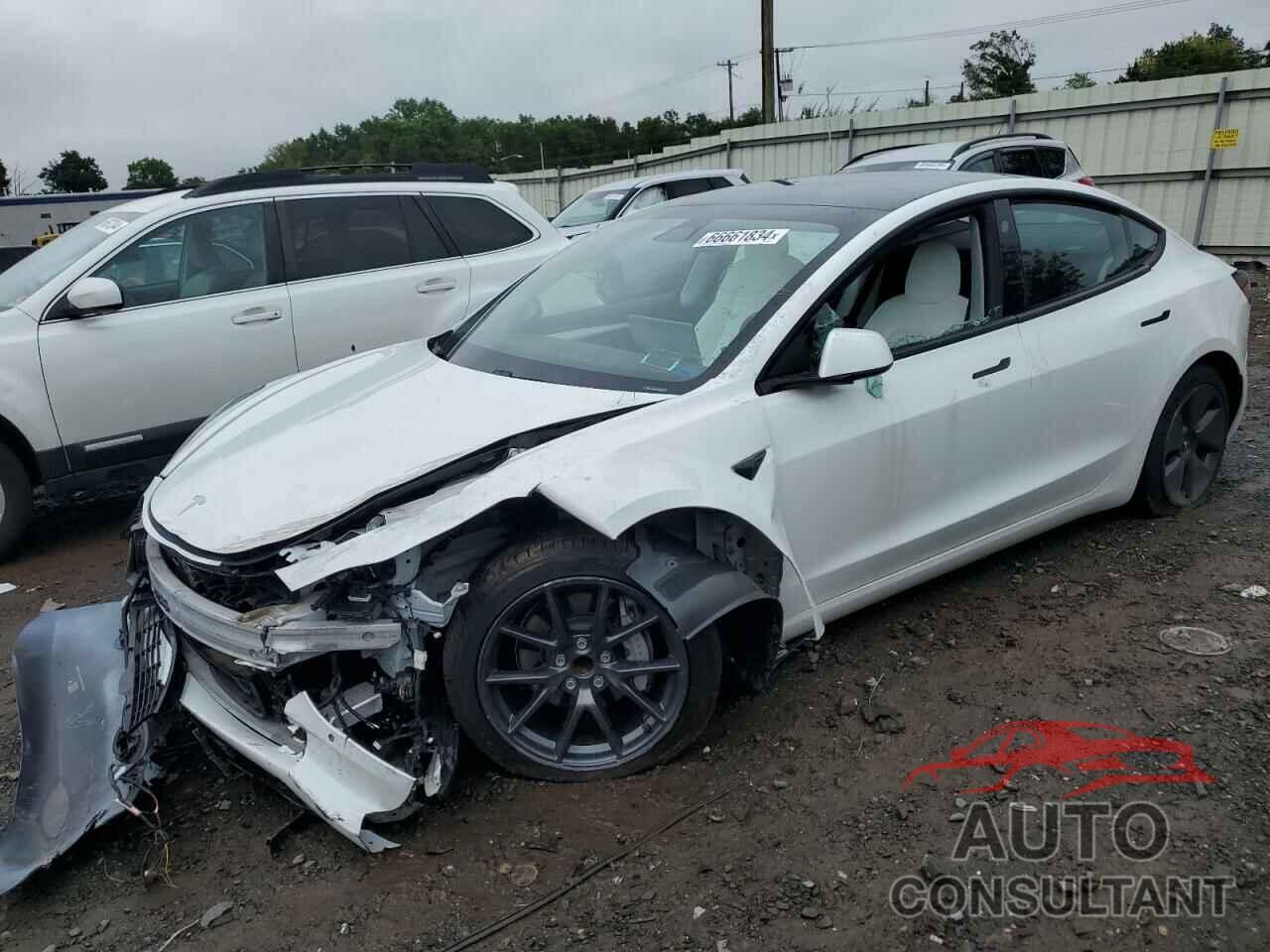 TESLA MODEL 3 2021 - 5YJ3E1EA0MF978298