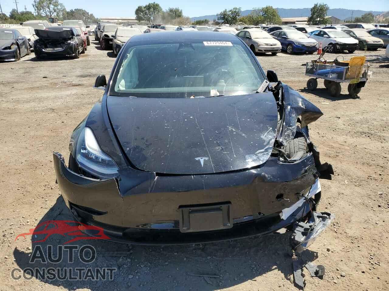 TESLA MODEL 3 2019 - 5YJ3E1EA2KF397656