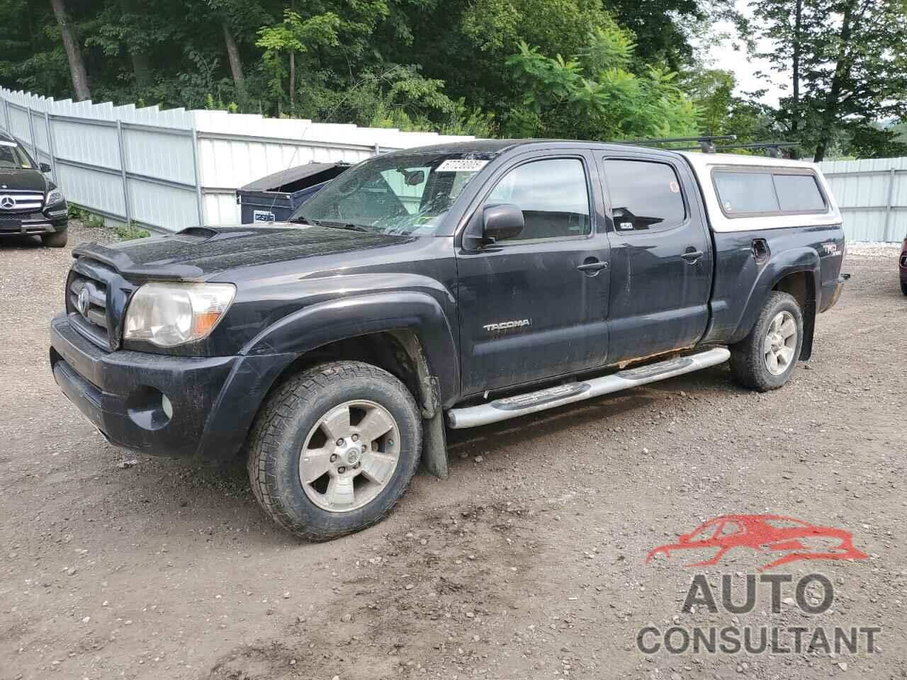 TOYOTA TACOMA 2009 - 3TMMU52N49M012366