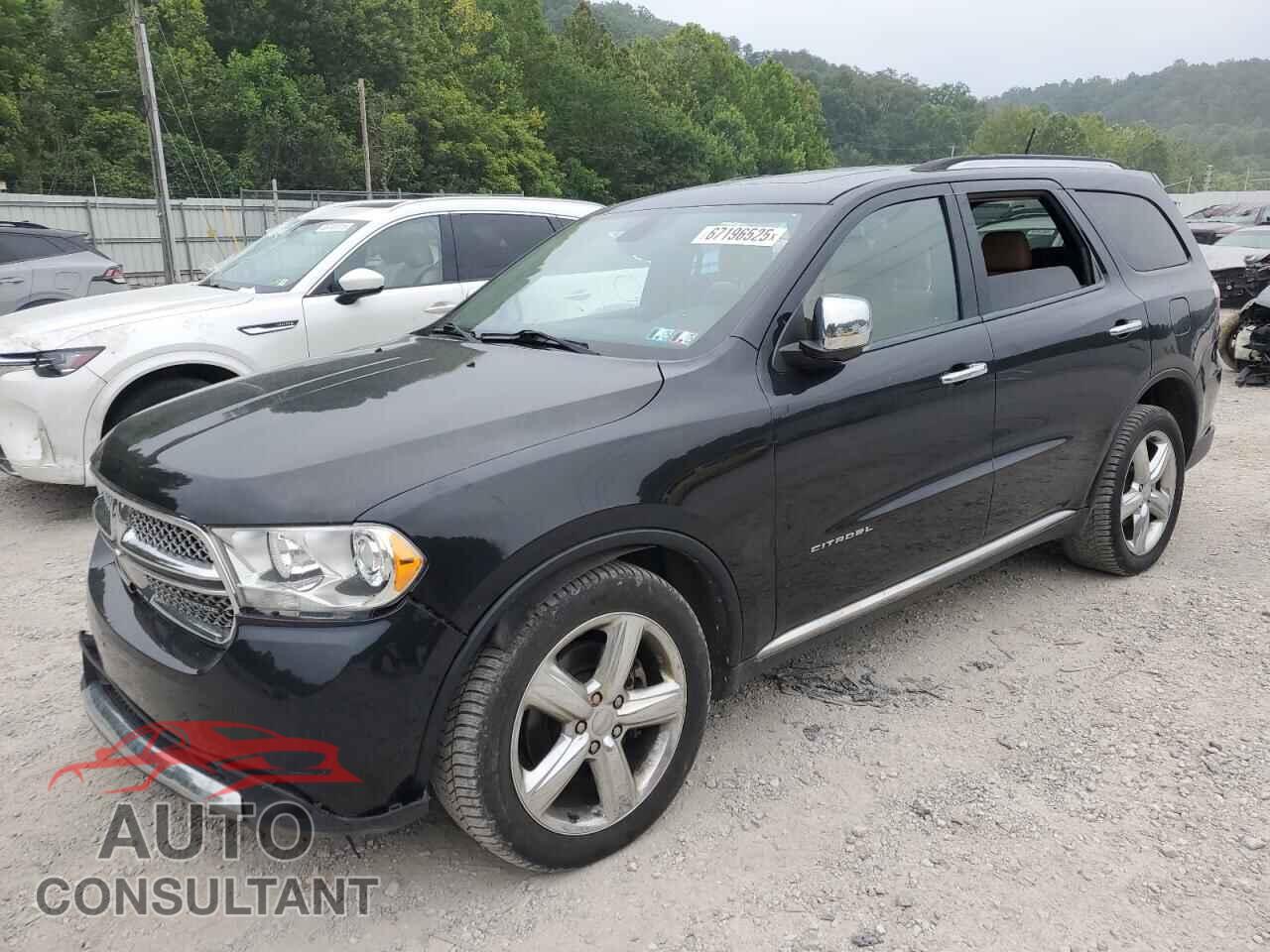 DODGE DURANGO 2011 - 1D4SE5GT2BC595235