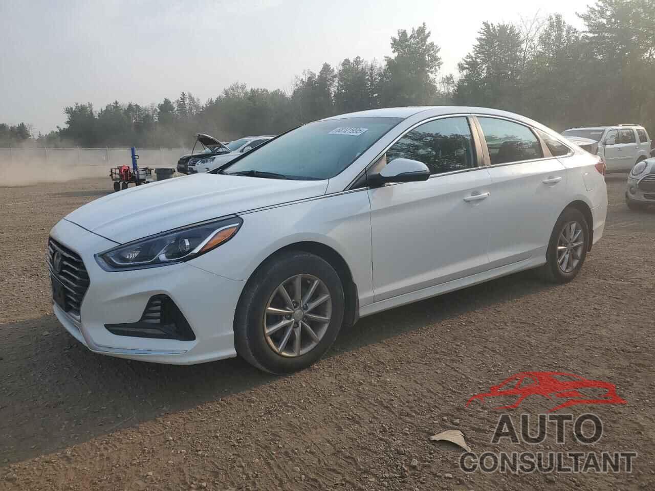 HYUNDAI SONATA 2018 - 5NPE24AF7JH725948