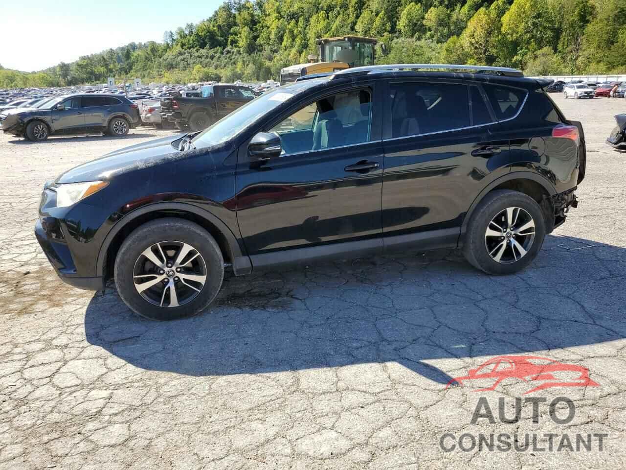 TOYOTA RAV4 2016 - 2T3RFREV2GW438362