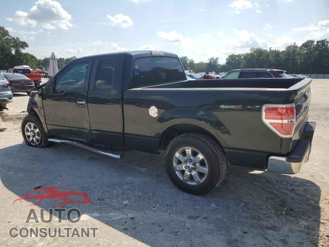 FORD F-150 2013 - 1FTFX1CF2DFA72249