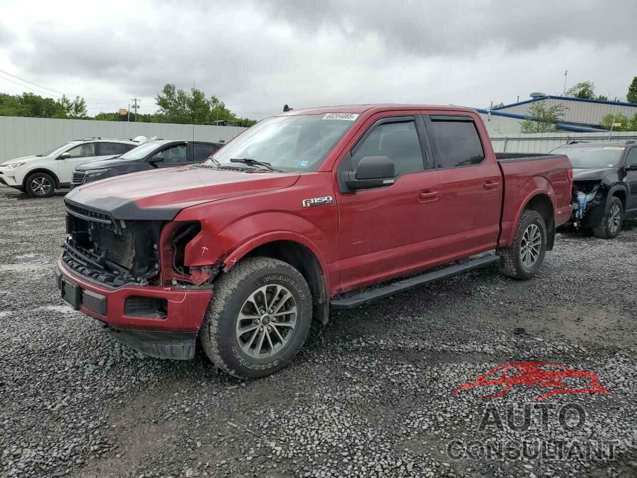 FORD F-150 2019 - 1FTEW1E5XKFD24698