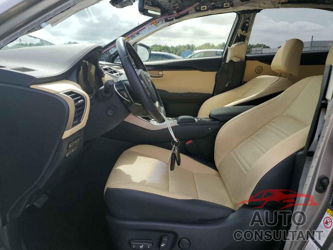 LEXUS NX 2019 - JTJBARBZ8K2190723
