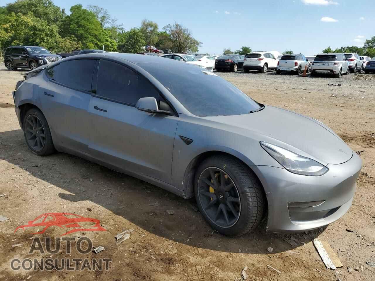 TESLA MODEL 3 2021 - 5YJ3E1EBXMF925066