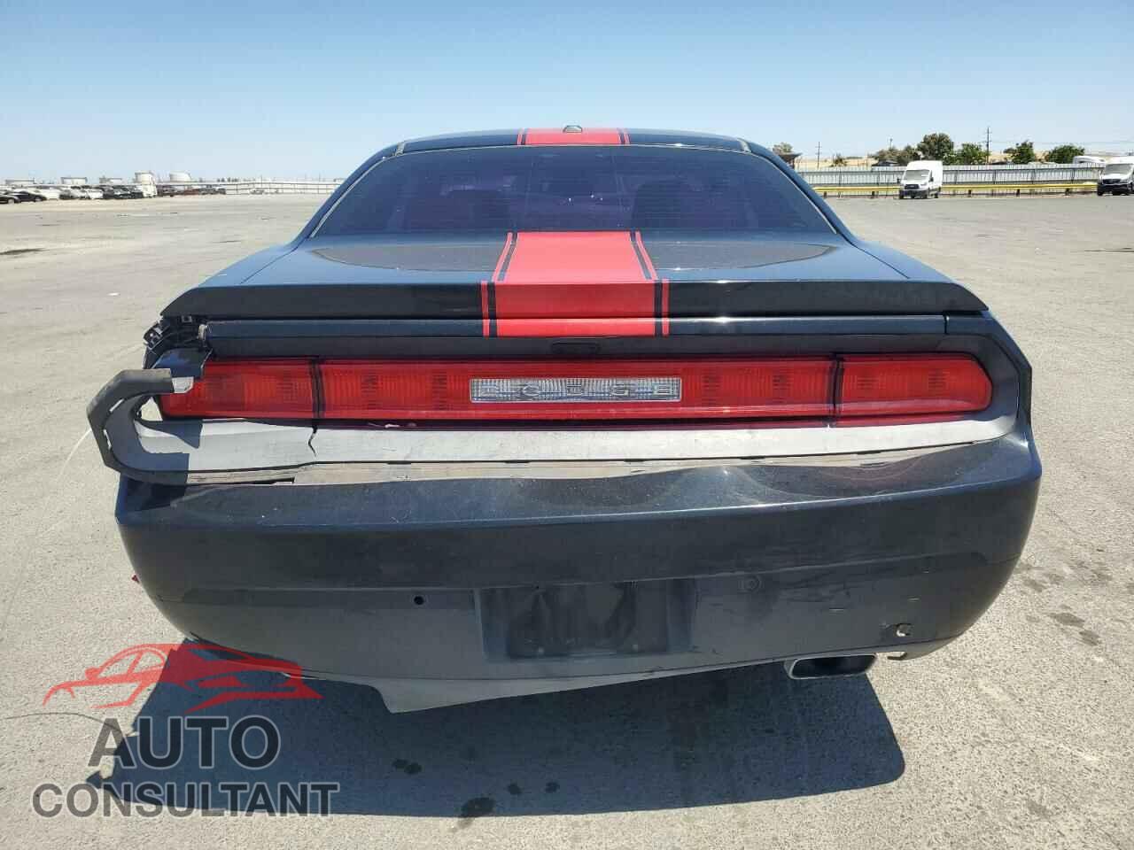 DODGE CHALLENGER 2013 - 2C3CDYAG9DH631217