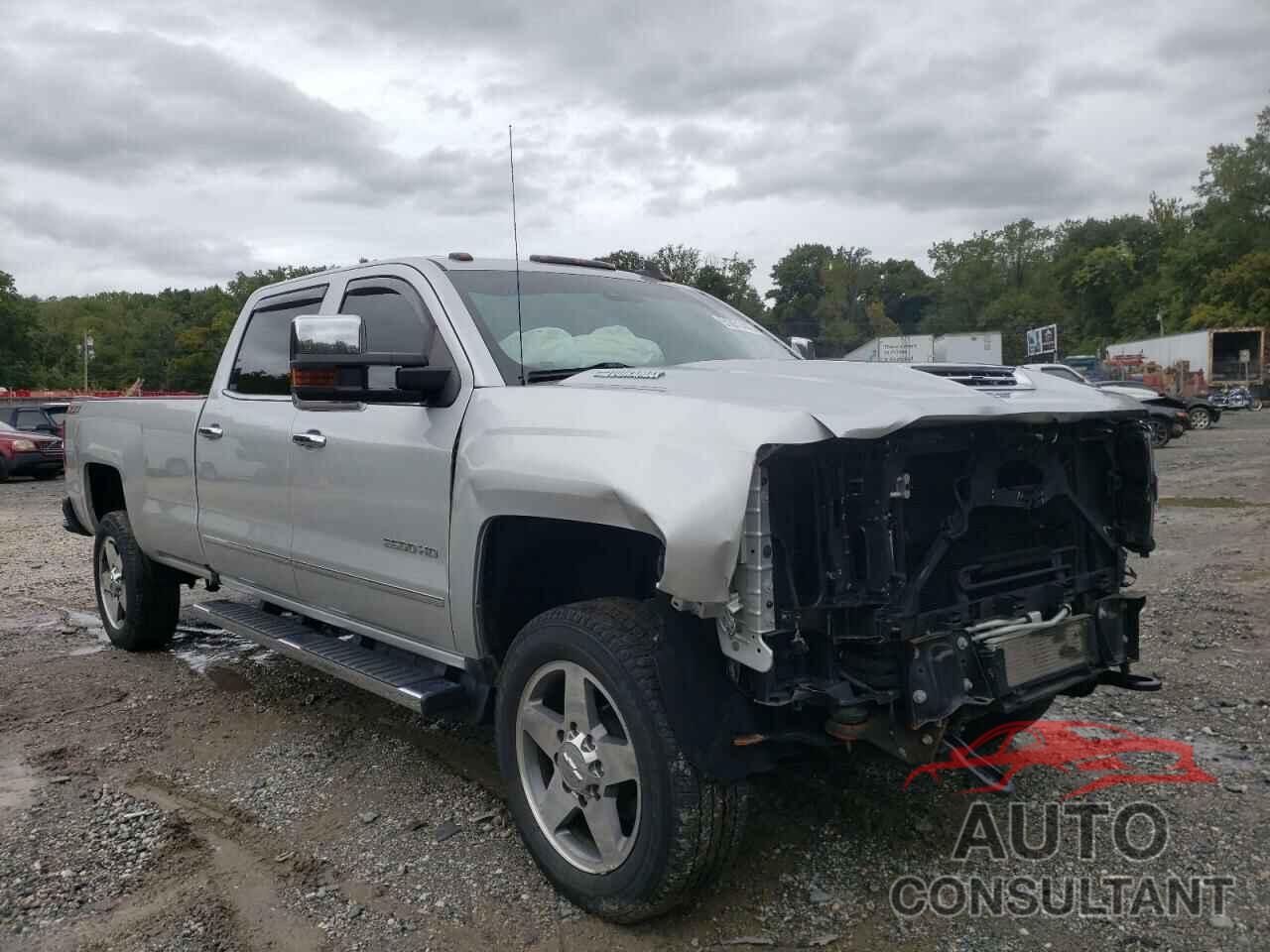 CHEVROLET SILVERADO 2019 - 1GC1KTEY2KF197476