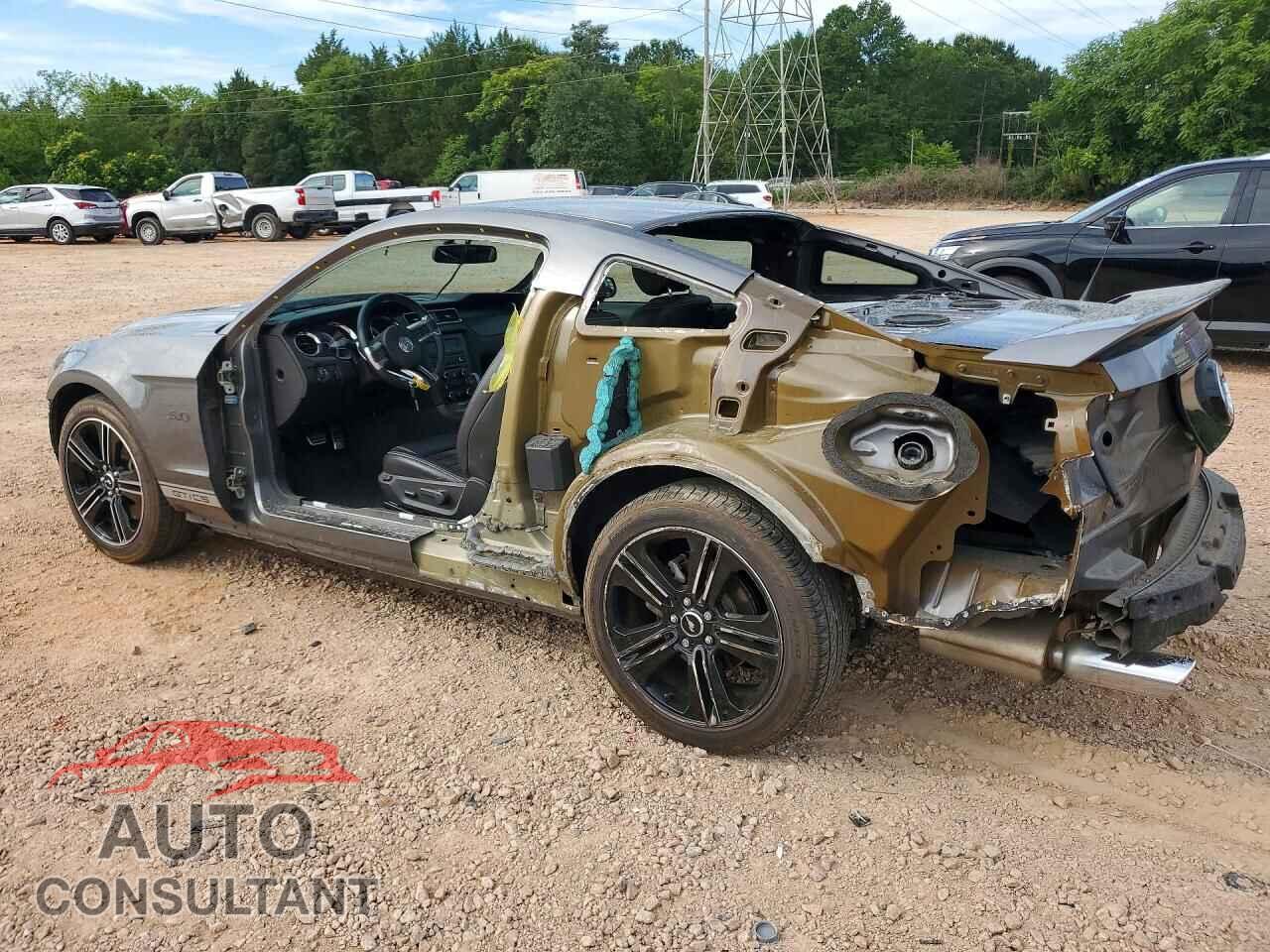 FORD MUSTANG 2013 - 1ZVBP8CF0D5235801