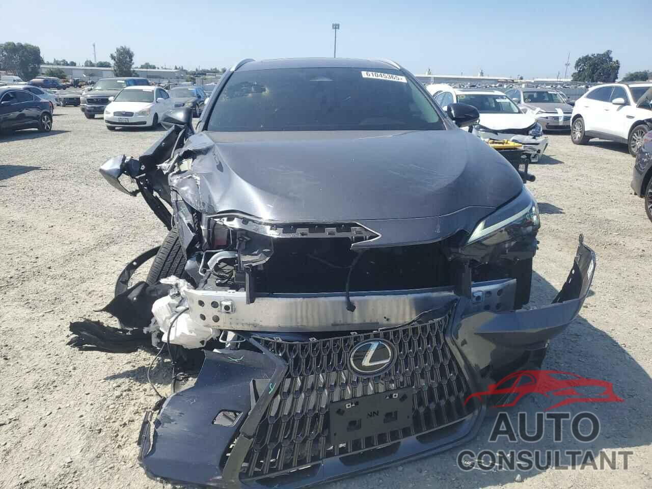 LEXUS NX 250 BAS 2024 - 2T2ADCAZ7RC010031