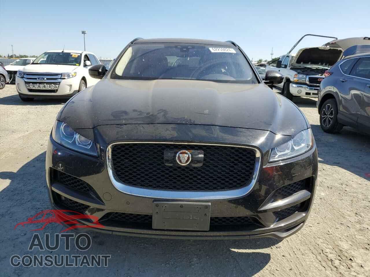 JAGUAR F-PACE 2019 - SADCK2FX2KA368916