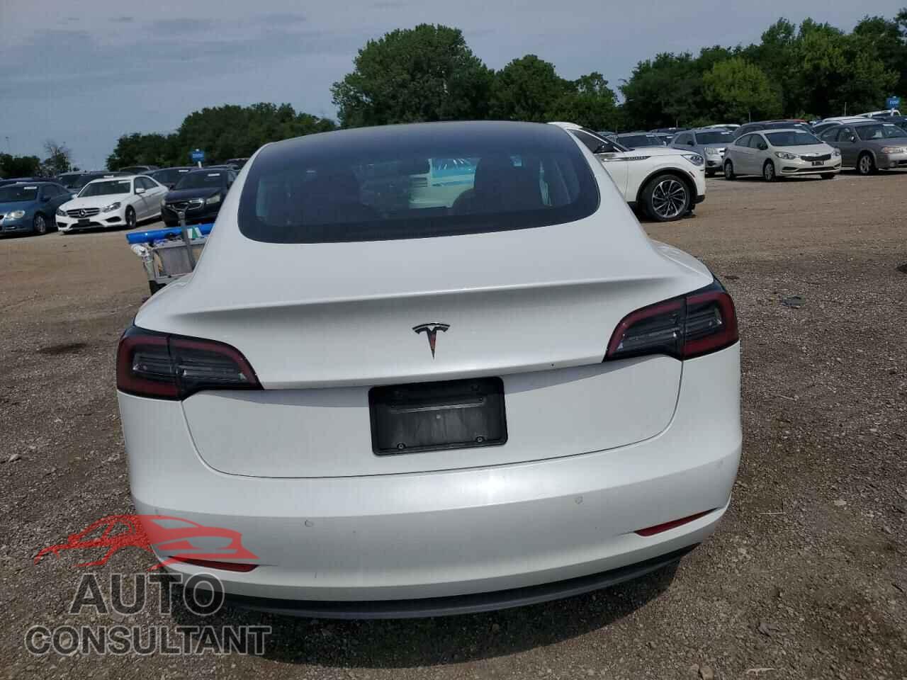 TESLA MODEL 3 2019 - 5YJ3E1EA1KF484075