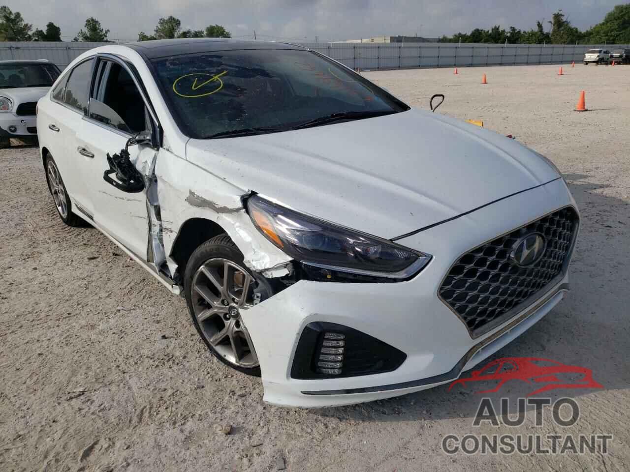 HYUNDAI SONATA 2019 - 5NPE34AB3KH821393