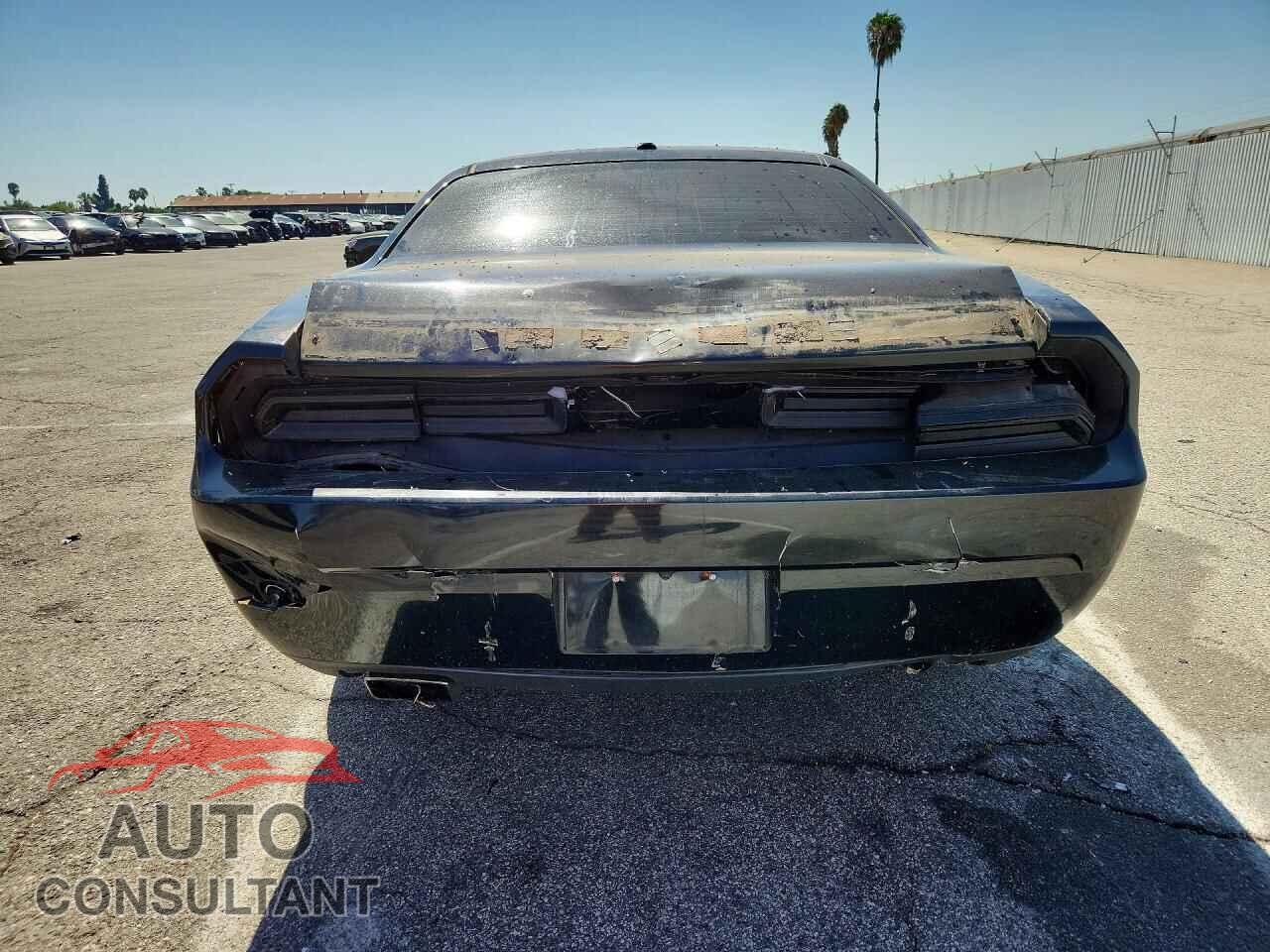 DODGE CHALLENGER 2012 - 2C3CDYBT7CH254171