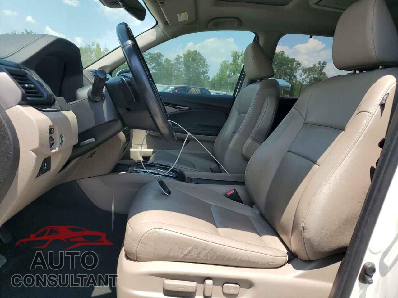 HONDA PILOT 2019 - 5FNYF5H94KB012982
