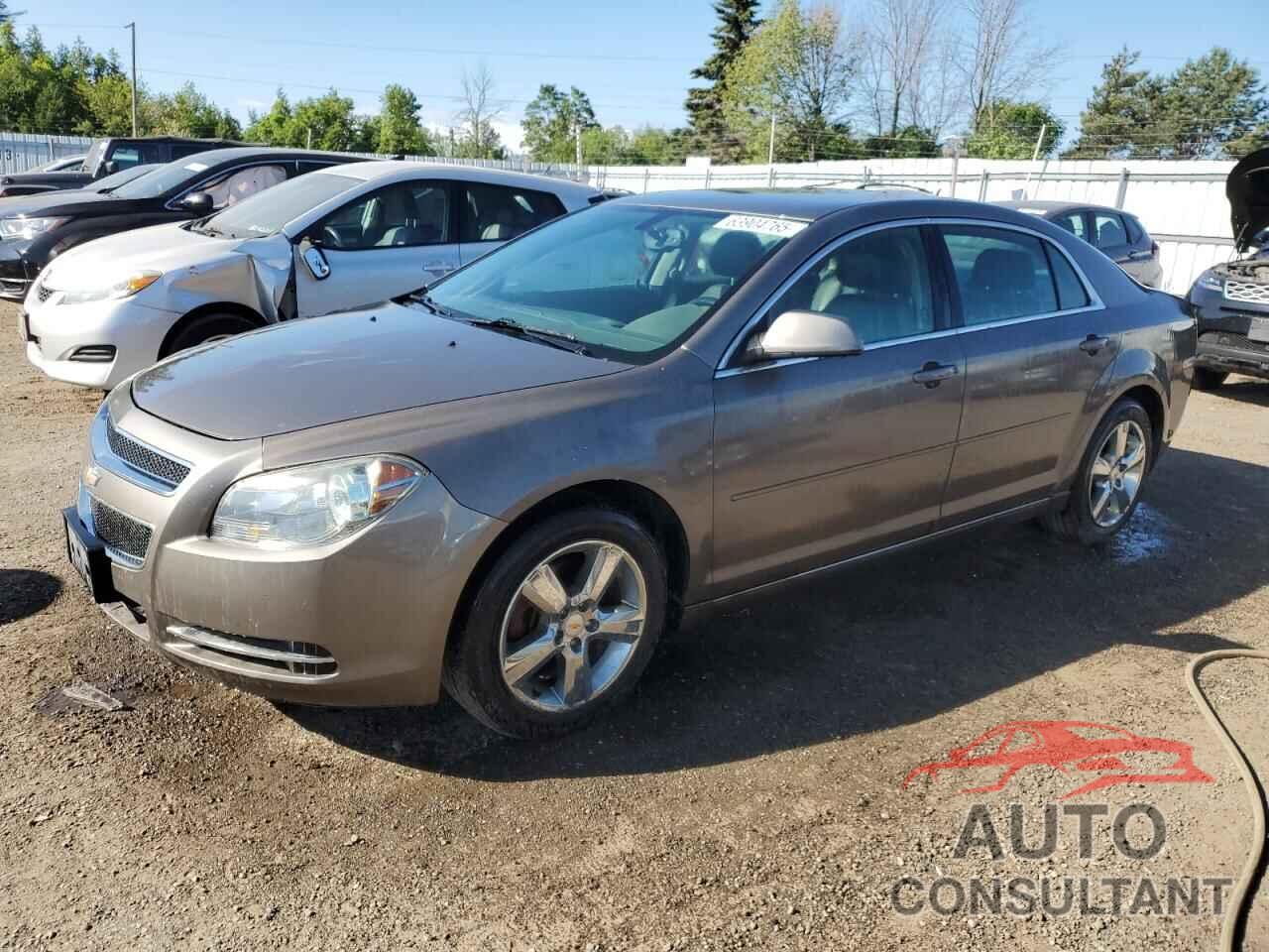 CHEVROLET MALIBU 2010 - 1G1ZD5E05AF196025