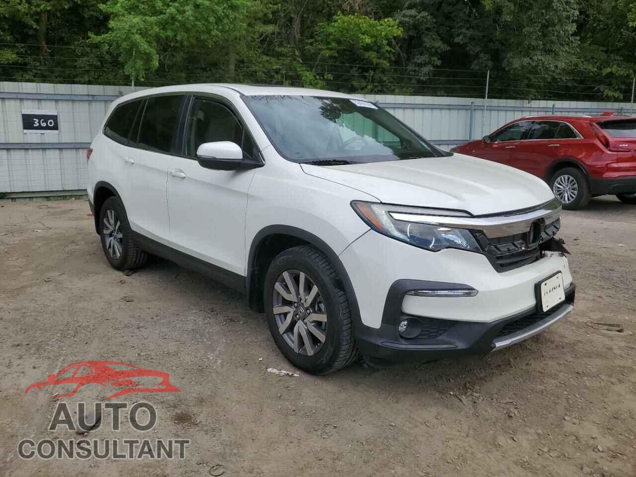 HONDA PILOT 2019 - 5FNYF5H58KB019334