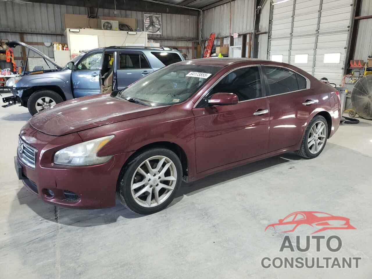 NISSAN MAXIMA 2010 - 1N4AA5AP8AC808502