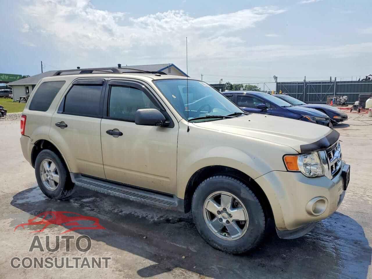 FORD ESCAPE 2010 - 1FMCU0D79AKC29285