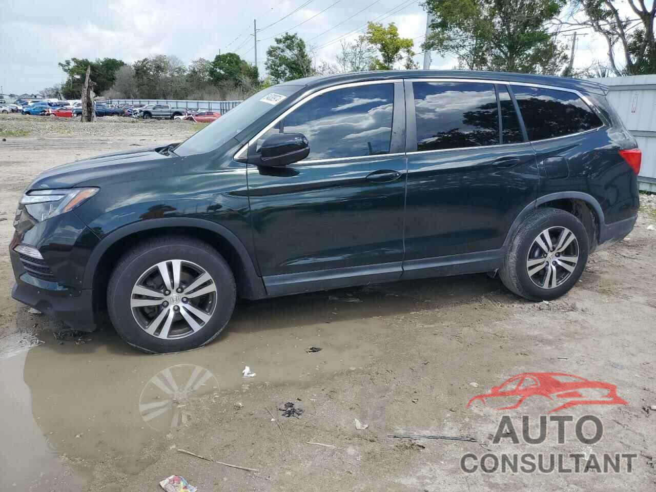 HONDA PILOT 2016 - 5FNYF5H58GB051997